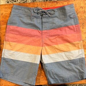 Striped Multicolor Men's Swim Shorts